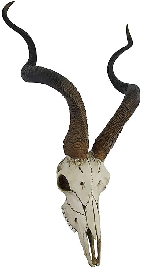 Veronese Design African Kudu Antelope Skull Wall Hanging Cool Twisted