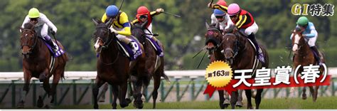 第163回 天皇賞（春） 調教情報｜gⅠ特集｜競馬予想・競馬情報ならjra Van