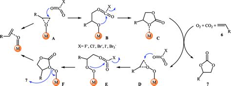 Proposed Mechanism For Rh Catalyzed Three Component Reaction Of Olefins