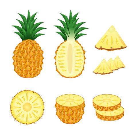 Set Of Pineapple Whole And Slices Illustration Vector Premium Vector