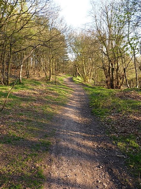 Bridleway Up Into Chetwynd S Coppice Richard Law Geograph Britain