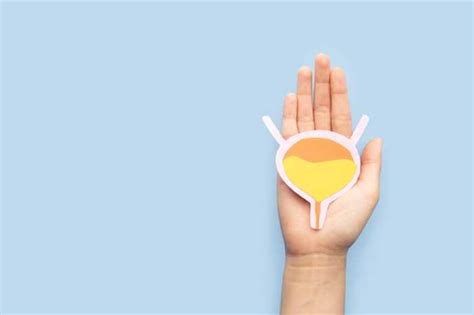 Comment Soigner Une Infection Urinaire