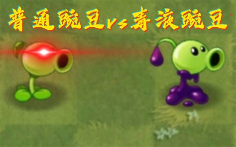 Pvz2 植物大战僵尸2 普通豌豆vs毒液豌豆 哔哩哔哩