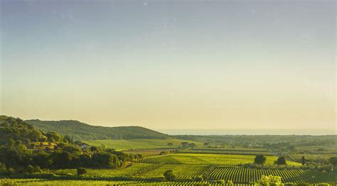 SELLA ANTICA GRILL LIKE THE TUSCAN BUTTERI SWEEPSTAKES - Sella Antica