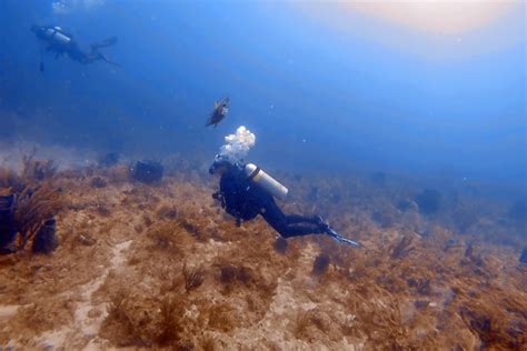 Scuba Diving In Florida The Best Guide For Beginners Dive Aeris