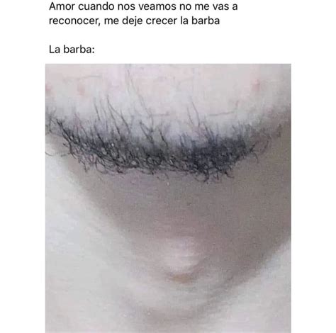 Amor Cuando Nos Veamos No Me Vas A Reconocer Me Dej Crecer La Barba