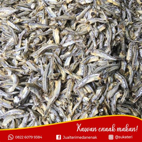 Ikan Teri Medan 7 Teri Medan Makassar Kirim Dari Medan