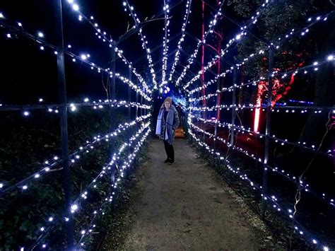 The Christmas at Blenheim Palace Lights Trail - Where Goes Rose?