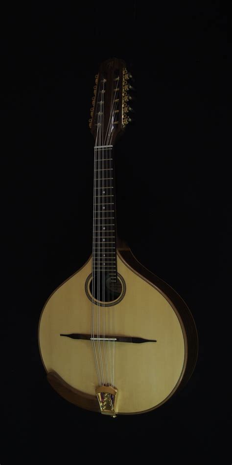 Thijs Van Der Harst Mandolin Gypsy Guitar Bouzouki Octave Mandolin