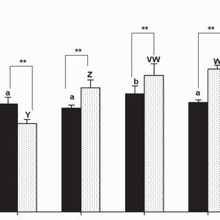 Mean Se Circulating Concentrations Of Growth Hormone Gh In