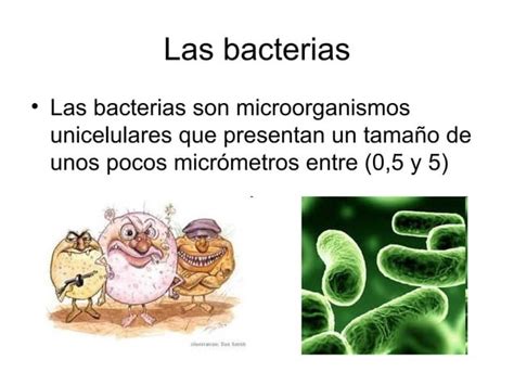 Presentacion De Los Antibioticos PPT