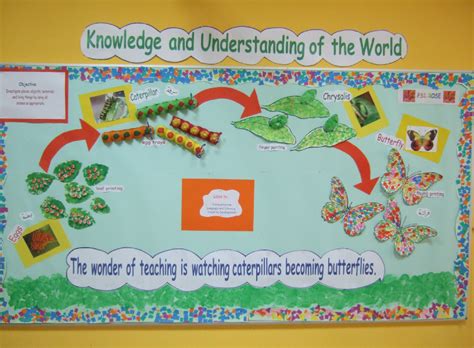 Life Cycle Of A Butterfly Classroom Display Photo Butterflies