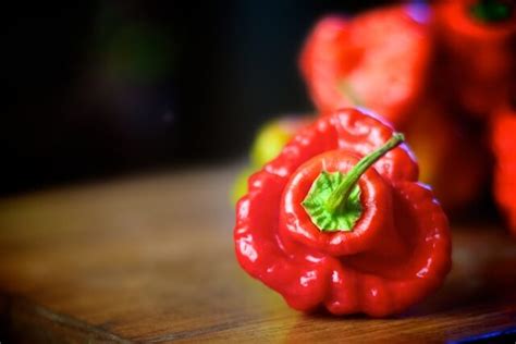 Fermented Hot Chili Sauce