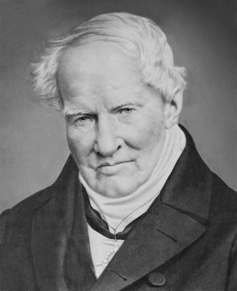 Александр фон гумбольдт alexander von humboldt роза