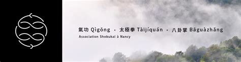 Stage De Qigong Et Tai Chi Chuan Avec Thierry Tai Ji Quan Tai Chi