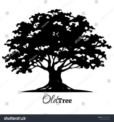 Black Old Tree Silhouette Tree Life Stock Vector Royalty Free