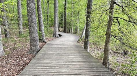 White Oak Nature Trail: A Wetlands Hike at Newport News Park