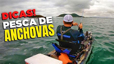 PESCARIA SENSACIONAL De ANCHOVAS CAIAQUE VEJA As MELHORES DICAS