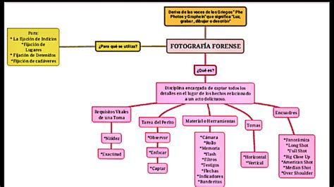 FOTOGRAFÍA FORENSE