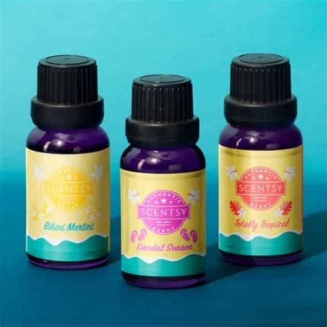 Scentsy Accents Scentsy Diffuser Oil Collection Poshmark