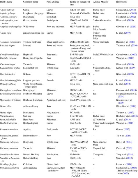 In Vivo And In Vitro Anticancer Activities Of Medicinal Plants And