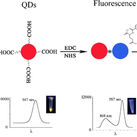 Schematics Of Fabrication Of A Sensor Based On Dual Emission