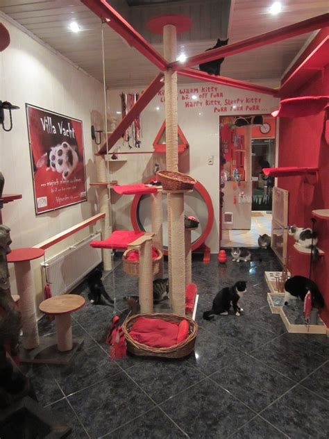 Several Cats In A Room With Red And White Furniture Including A Cat