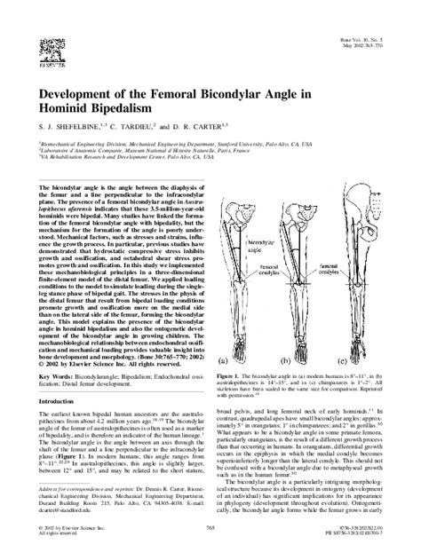 Pdf Development Of The Femoral Bicondylar Angle In Hominid Bipedalism