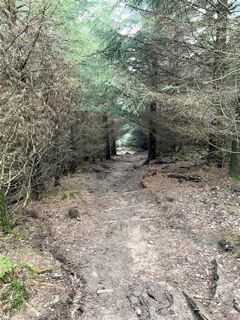 Ladybower Reservoir Walk With Win Hill | 8 Miles