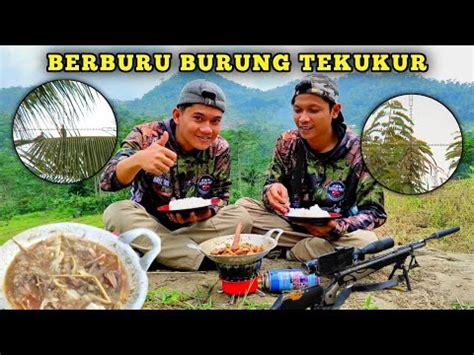 BERBURU TEKUKUR DAN MUKBANG TEKUKUR HUNTING TEKURUR YouTube