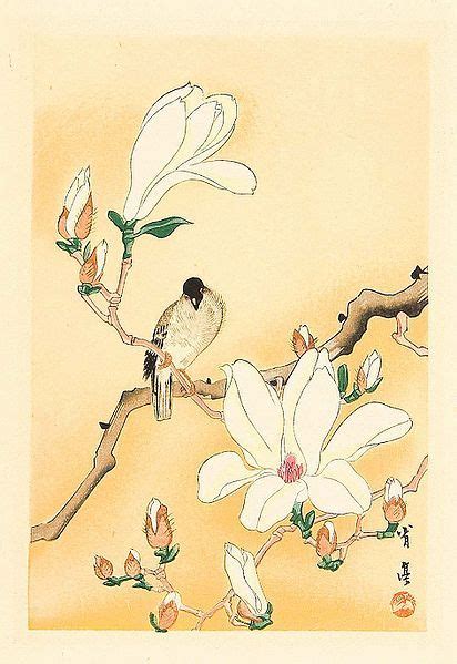 Bird On Magnolia By Seitei Shotei Watanabe 1851 1918 Print Artist