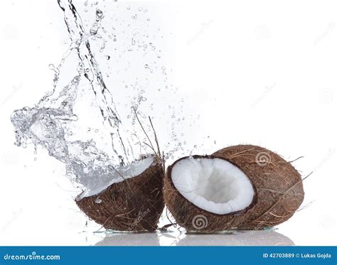 Noce Di Cocco Con La Spruzzata Dell Acqua Immagine Stock Immagine Di