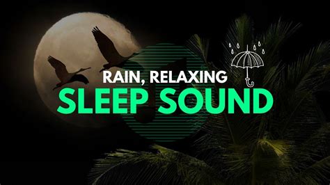 1 Hour Of Rain Sound Relaxation Ultimate Stress Relief Deep Sleep