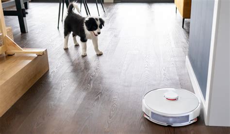 How To Use Roomba On Multiple Floors Floor Roma