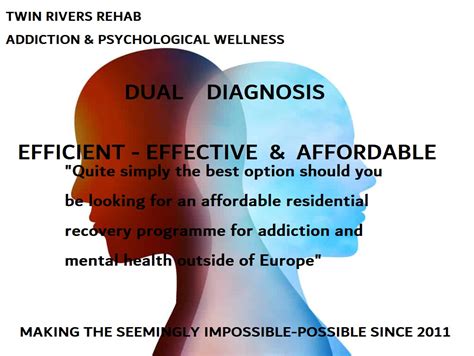 What Is A Dual Diagnosis Treatment Twin Rivers Rehab