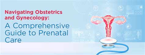 Navigating Obstetrics And Gynecology A Comprehensive Guide