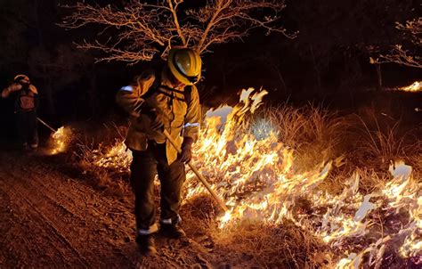 Son Provocados Nueve De Cada Diez Incendios En Zapopan Notisistema