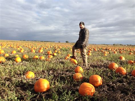 Slinging Pumpkins Pahl S Market Apple Valley Mn