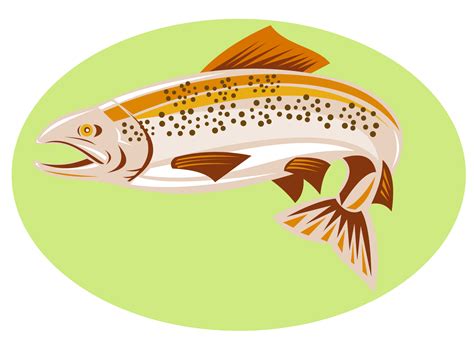 Trout Fish Jumping 13757541 Png