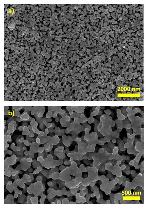 Scanning Electron Microscopy SEM Images Of The Roughened Silver