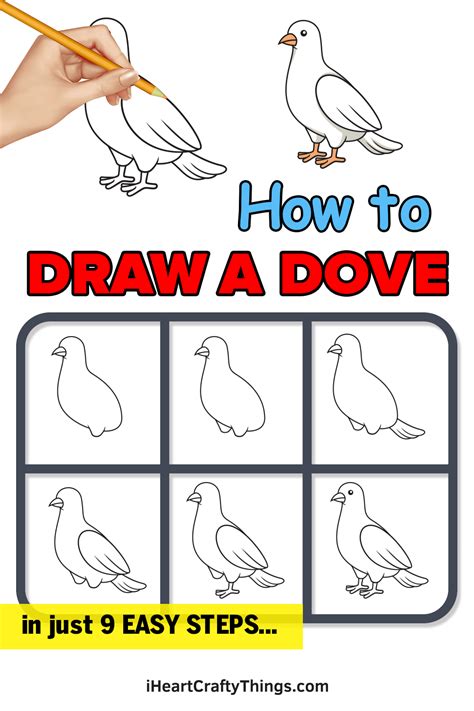 Dove Drawing - How To Draw A Dove Step By Step