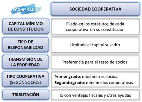 Cuáles son las características de la sociedad cooperativa