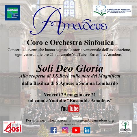 Concerto Soli Deo Gloria Ensemble Amadeus