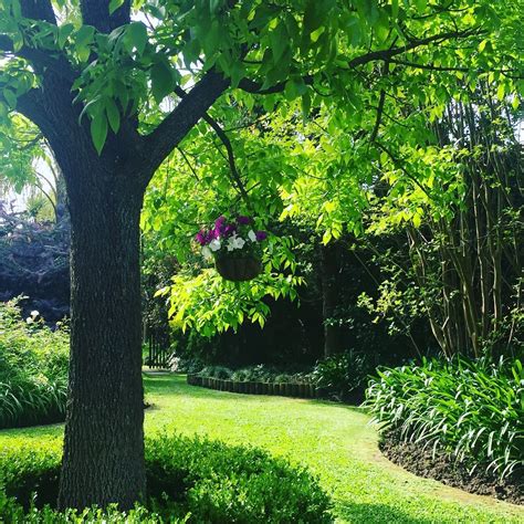 Diseño de Jardines... Paisaje co. Curvas... Espacios que invitan a ...