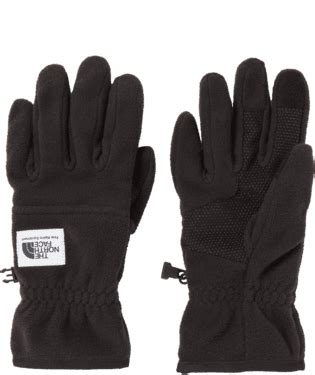 The North Face ETIP Heavyweight Fleece GLove TNF BLack