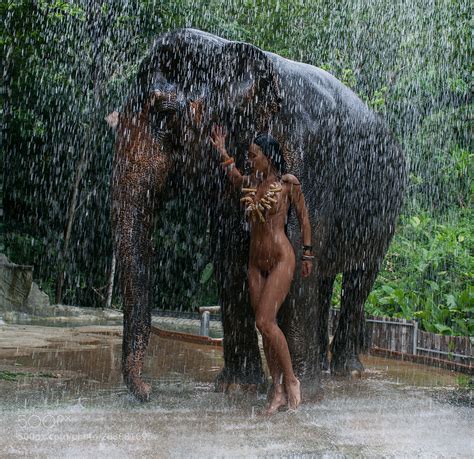 Sexy Nude With Elephant Scrolller