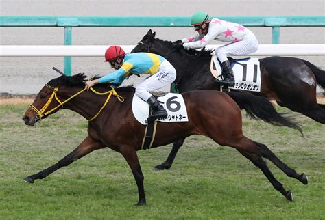 【新馬阪神5r】ルーラーシップ産駒 エバーシャドネーがデビューv 競馬ニュースなら競馬のおはなし