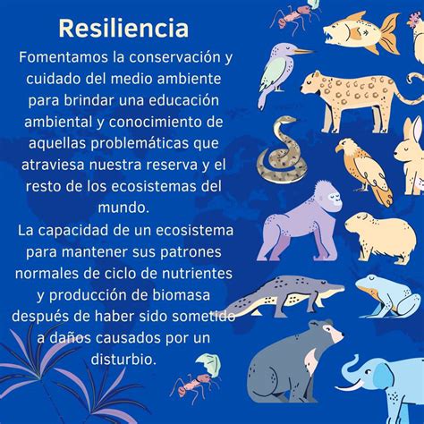 resiliencia rompecabezas en línea