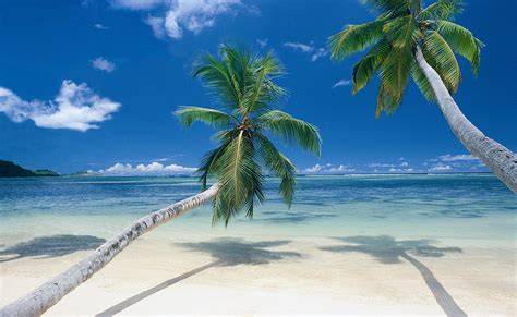 🔥 Free Download Beach Scene Wallpaper Full Desktop Background by ...