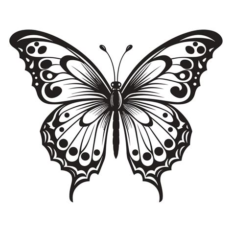 Beautiful Butterfly Silhouette 25073324 Png